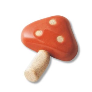 Red mushroom